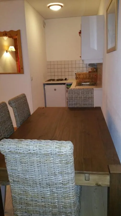 Hameau Des Ecrins Apartment Puy-Saint-Vincent